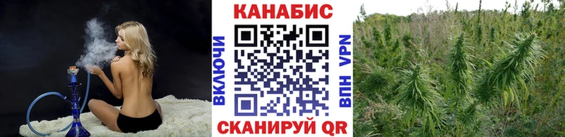 Купить где  Давлеканово  Конопля семена 
